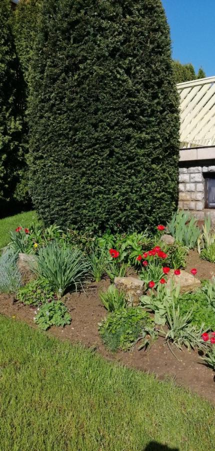 Napfeny Villa Balatonfured Luaran gambar